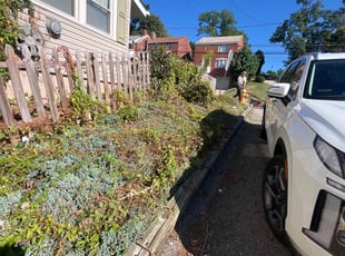 John O.'s grass cutting service result