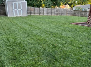 Kyle P.'s landscaping service result