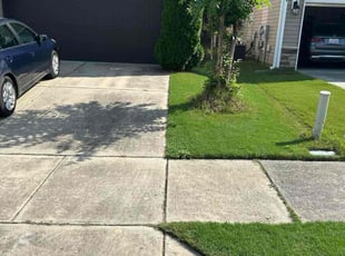 Marshall T.'s grass maintenance service result