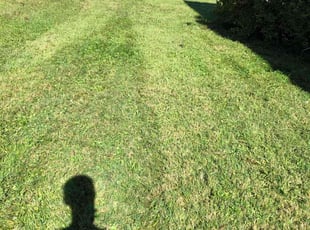 Laurie K.'s lawn service service result