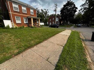 James D.'s lawn care services service result