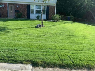 Kristin K.'s lawn care services service result