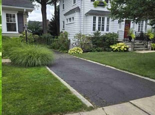 Paulette P.'s Cleanups service result