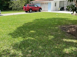Mike R.'s lawn care services service result