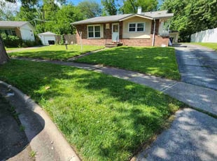 Dorothy W.'s turf maintenance service result