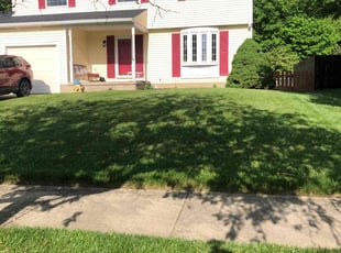 Brandon R.'s grass cutting service result