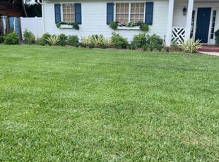 Chelsey E.'s turf maintenance service result