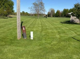 Jordan G.'s lawn care service result