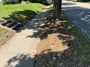 Gloria B.'s turf maintenance service result