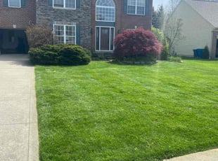 Tecara J.'s lawn service service result
