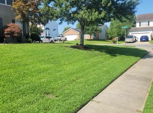 Vincent T.'s turf maintenance service result