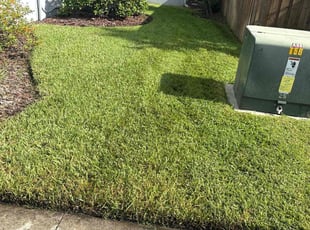 Dacey C.'s turf care service result