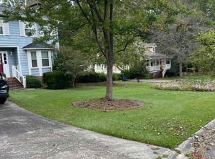 Robert S.'s turf care service result