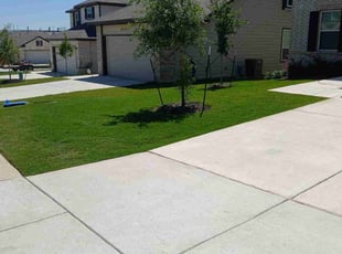 Ann N.'s lawn care services service result