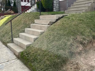 Nielza F.'s lawn care service result