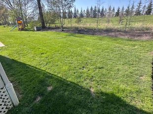 Nicole S.'s turf care service result