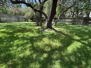 Ashley D.'s grass cutting service result