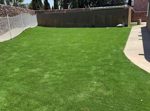 Chaley D.'s lawn service service result