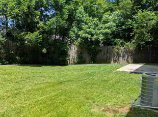 Alick G.'s turf care service result