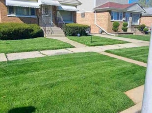 Torris F.'s grass cutting service result