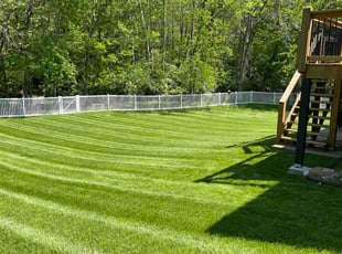 Ross E.'s turf care service result