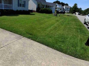 Elvis J.'s grass maintenance service result