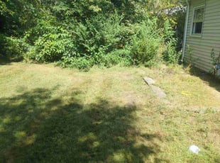 Morgan H.'s grass cutting service result