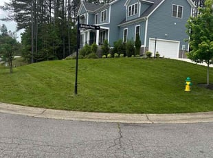 Margarita P.'s turf maintenance service result