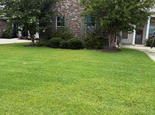 Kristina H.'s lawn care services service result