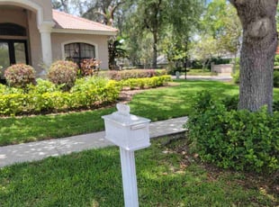 Norbert M.'s lawn care service result