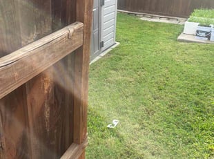 Susan H.'s grass cutting service result