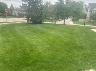 Russ C.'s turf care service result