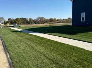 Amy L.'s turf care service result