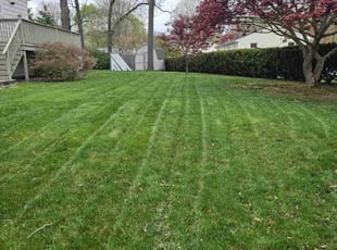 Angelo B.'s lawn care services service result