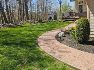 Merridy G.'s grass maintenance service result