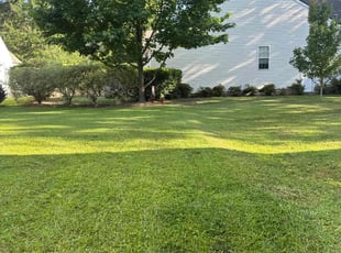 Cathy C.'s turf care service result
