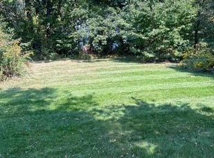 Angela M.'s turf maintenance service result