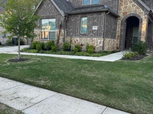 Lebaron S.'s grass cutting service result