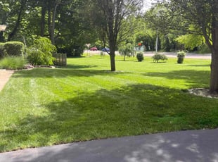 Vivian G.'s lawn care service result