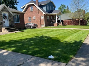 Melanie K.'s lawn maintenance service result