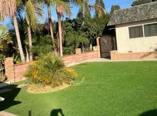 Angie H.'s Long Grass Cleanup service result