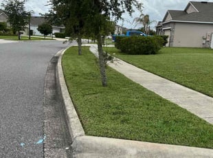 Lance M.'s lawn care services service result