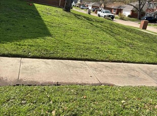 Donna F.'s lawn service service result