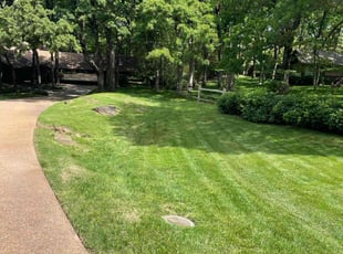 Melonie C.'s lawn service service result