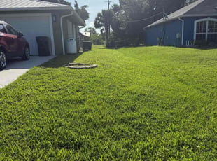 Darrius R.'s grass cutting service result