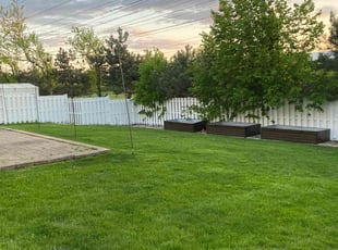 Denis K.'s lawn care service result