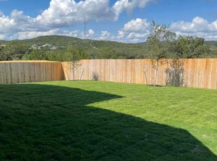 Scott Y.'s turf care service result