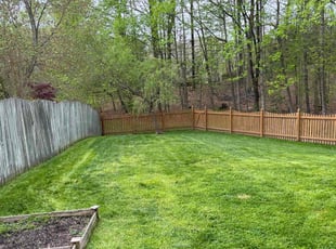Carl P.'s grass cutting service result