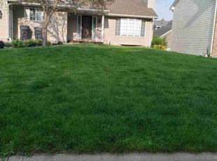 Keith L.'s lawn maintenance service result