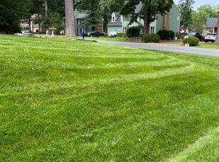 James B.'s turf care service result